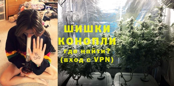 ПСИЛОЦИБИНОВЫЕ ГРИБЫ Арсеньев