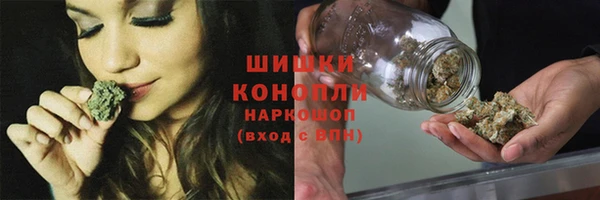 ПСИЛОЦИБИНОВЫЕ ГРИБЫ Арсеньев