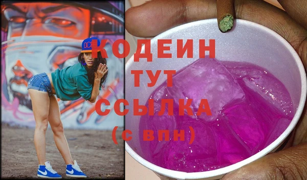 ПСИЛОЦИБИНОВЫЕ ГРИБЫ Арсеньев