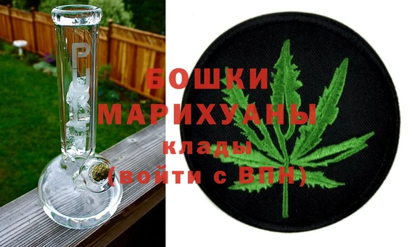ПСИЛОЦИБИНОВЫЕ ГРИБЫ Арсеньев