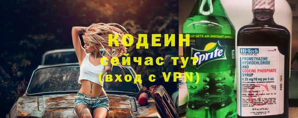 ПСИЛОЦИБИНОВЫЕ ГРИБЫ Арсеньев