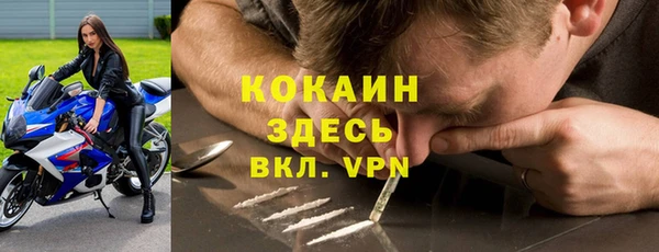 ПСИЛОЦИБИНОВЫЕ ГРИБЫ Арсеньев