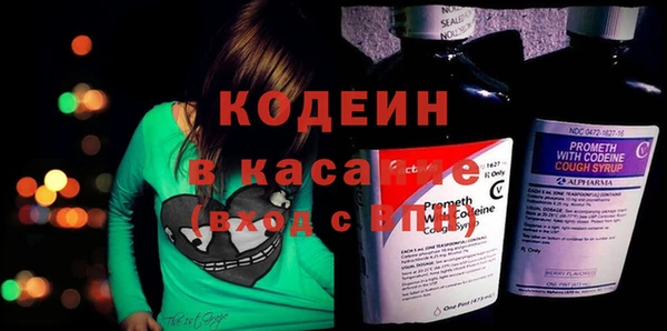 ПСИЛОЦИБИНОВЫЕ ГРИБЫ Арсеньев
