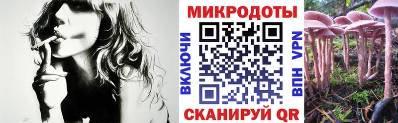 Галлюциногенные грибы GOLDEN TEACHER  МЕГА как войти  Спасск-Дальний 